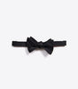 Silk bow tie