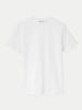 The Essential Slim T-Shirt in Walnut