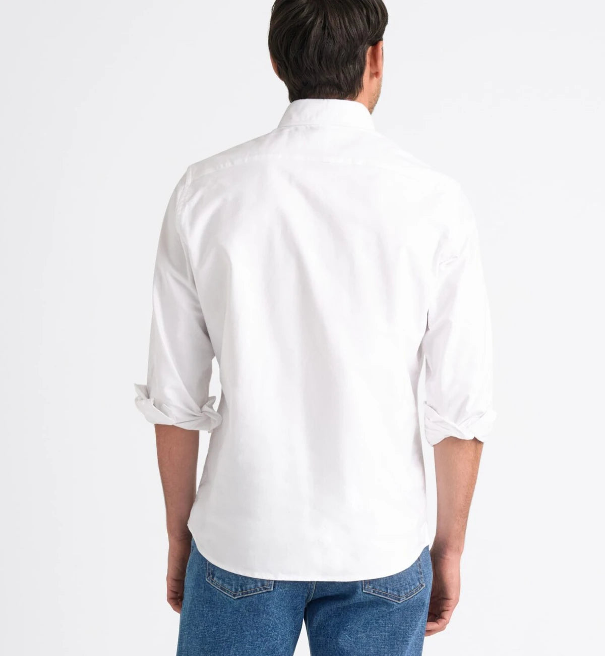 The clark oxford